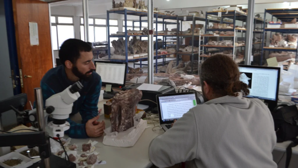 Patagonia Land of Dinosaurs 2 Paleontologists Pablo Gallina and Juan Ignacio Canale working in the lab