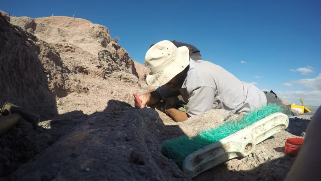 Patagonia Land of Dinosaurs 3 Juan Canale excavating dinosaur fossils