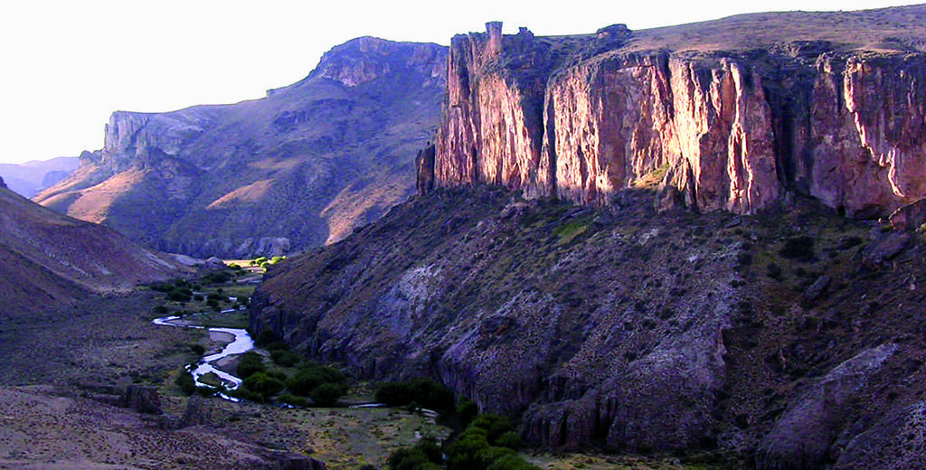 “Jurassic Park” en Patagonia Austral