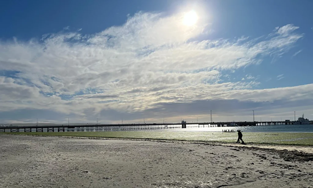 Puerto Madryn the Capital of Diving and Nautical Tourism in Argentina 1 Muelle03