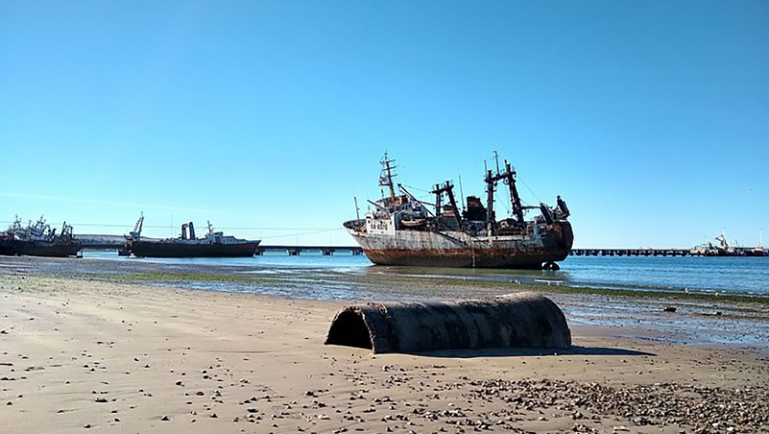 Puerto Madryn the Capital of Diving and Nautical Tourism in Argentina 9 image04 1 768x433 1