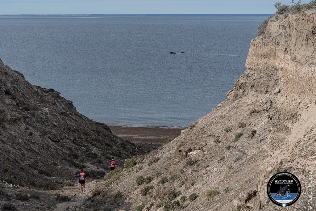 Trail Running en Patagonia Aventura Franca Austral, una carrera extraordinaria 10 image12