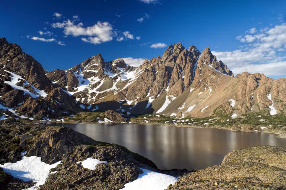 Dientes de Navarino