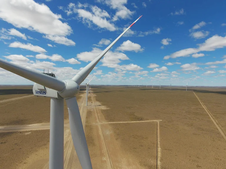 Green Energy in Patagonia: Innovation Examples and Benefits 1 Parque bicentenario