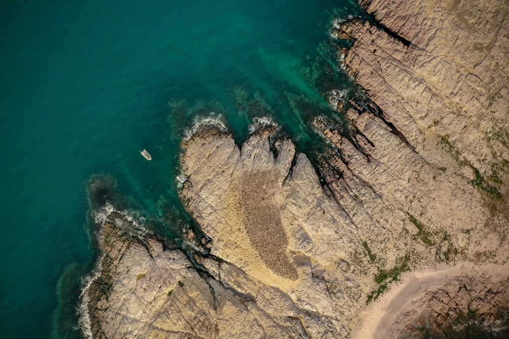 New Patagonia Azul Provincial Park Revolutionizes Conservation and Tourism in Chubut 9 Patagonia Azul ph Maike Friedrich Rewilding Argentina