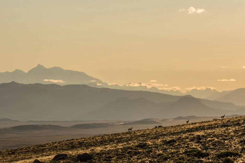 Trekking en la Meseta del Lago Buenos Aires: Ruta, Experiencia y Consejos para Senderistas en la Patagonia 5 image05